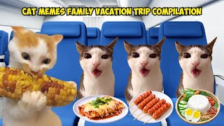 CAT MEMES Family Vacation Trip Compilation [upl. by Duthie432]