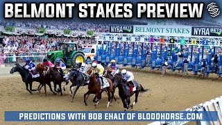 Exclusive Belmont Stakes Preview Sierra Leone Seize The Gray amp More [upl. by Lednor]