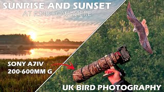 Sunrise and Sunset Bird Photography with Sony 200600mm lens [upl. by Adorne]