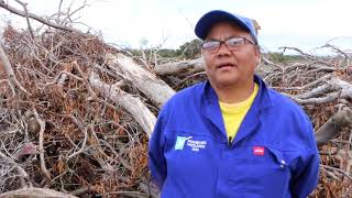 Creating green jobs through WWF South Africa and Overberg District Municipality support [upl. by Ferneau]