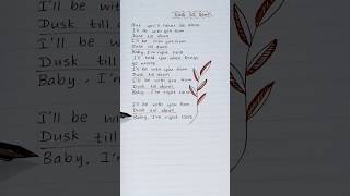 Dusk Till Dawn Song Lyrics Sing Along and Enjoy [upl. by Enitsuga460]