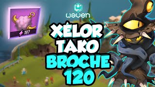 XÉLOR SYNCHRONISATEUR TAKO  BROCHE BOUFTOU 120 SUR WAVEN [upl. by Stormie]