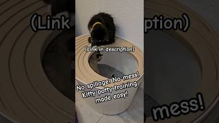 climb up round top entry kitty cat litter box with a lot less mess [upl. by Sucramej]