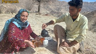 Traditional life searching for firewood in the heart of nature with the nomadic family of Parvaneh [upl. by Samara137]