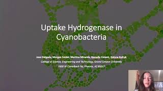 UPTAKE HYDROGENASE IN CYANOBACTERIA [upl. by Anelleh286]