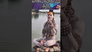 అమ్మ అఘోరా ఏమి ఆహారం తింటారు🔱🔥📿agora viralshivayoutubeshorts kasitrending viralvideo [upl. by Carlen]