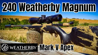 240 Weatherby Magnum to 600 Yards Weatherby Mark V Apex [upl. by Nnel32]