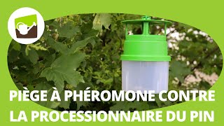 Comment monter un piège à phéromone chenille processionnaire du pin [upl. by Legnalos]