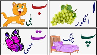 haroof e tahaji  urdu alphabet phonics  urdu alif bay pay  Alf bay pay studycouncil [upl. by Dympha187]