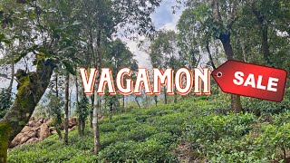 Plot For Sale  For ResortsHousing  Vagamon  Kerala [upl. by Jenine]