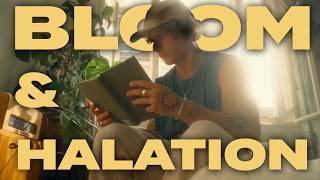 Get The FILM BLOOM amp HALATION EFFECT In Premiere Pro Tutorial  Nostalgic Film look [upl. by Eciral154]