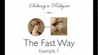 Solving a Pedigree  the Fast Way example 1 [upl. by Llehcor]