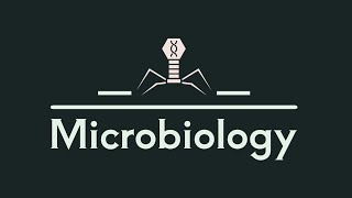 L1 microbiology salmonella and enteric fever [upl. by Aninay]