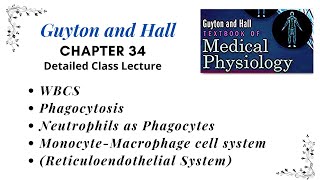 Chapter 5  Reticuloendothelial System  Monocyte Macrophage cell system  WBCs Tissue Macrophages [upl. by Ladnar]