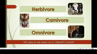 Herbivore Carnivore Omnivore Song [upl. by Jacoba]