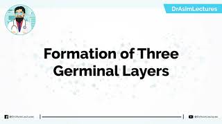 Early Development and Formation of Three Germ Layers  Hindi  Urdu [upl. by Nylzor273]