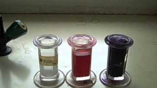 Microscopic Staining for Blood Parasites  MultiLingual Captions [upl. by Aihselef479]