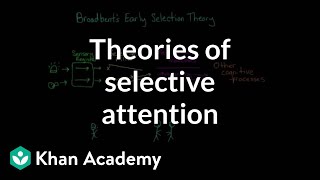 Theories of selective attention  Processing the Environment  MCAT  Khan Academy [upl. by Kreegar]