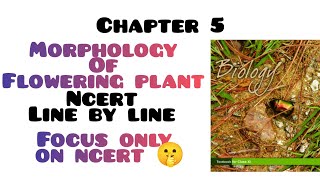 Morphology of flowering plants one shot  Ncert line by line  Class 11 [upl. by Lombardi]