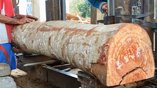 Techniques for processing wadang wood for window frames and rams [upl. by Anafetse947]