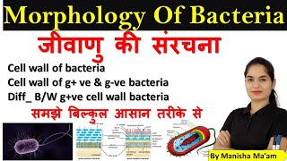 Morphology of Bacteria in hindi  Bacterial Structure  Bacteriology  Microbiology lecture [upl. by Milson]