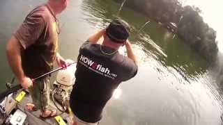 Walleye Yearling Caught on Lake Yonah [upl. by Baerl]