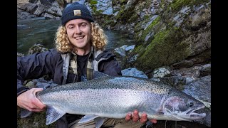 Winter Steelhead FIRST FISH Of 2K24 [upl. by Biggs96]