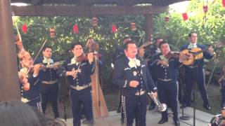 Mariachi Los Camperos  Viva Veracruz ll [upl. by Feeley]