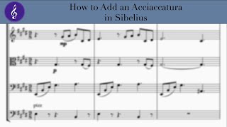 How to Add an Acciaccatura in Sibelius [upl. by Vincentia]