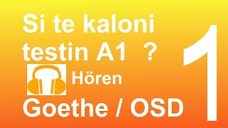 110 Si te kaloni testin e Gjuhes Gjermane  DEGJIM Hören   Start deutsch 1 [upl. by Philemon]