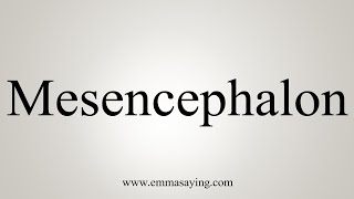 How To Say Mesencephalon [upl. by Mildred]