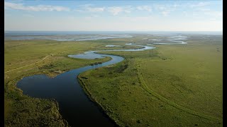 Protector and Guardian of Galveston Bay — Galveston Bay Foundation [upl. by Ventre]