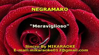 Negramaro Meraviglioso KARAOKE [upl. by Kinnie116]