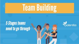 5 Stages of Team Building  What you should know when developing teams or groups [upl. by Arjan]