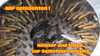 Schlachten  Hühner und Enten zur Selbstversorgung [upl. by Hurst560]