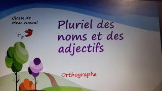 Le pluriel des noms et des adjectifs [upl. by Lukey686]