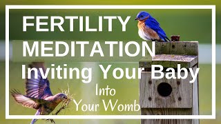 Fertility Meditation Inviting your baby into your womb Guided Imagery for getting pregnant [upl. by Aneleve947]