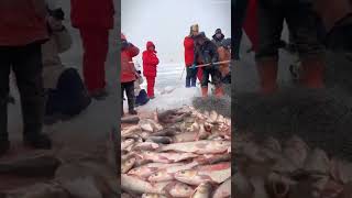 Fishing Trip part 2 Unbelievable Ice Fishing with a RecordBreaking Catch [upl. by Wivina432]