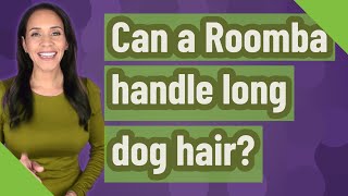 Can a Roomba handle long dog hair [upl. by Latsryk]