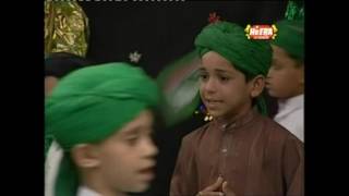 Bibi Amna Ke Phool  Farhan Ali Qadri  OSA Official HD Video [upl. by Seiber562]