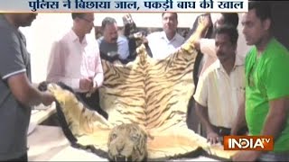 Four Held for Smuggling Tiger Skin in Maharashtra [upl. by Mafala]