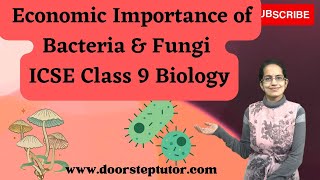 Economic Importance of Bacteria amp Fungi  ICSE Class 9 Biology [upl. by Htebasile]