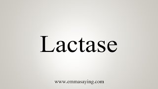 How To Say Lactase [upl. by Greg]