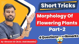 Easy tricks Morphology of Flowering Plants PART2  NEET Biology Inflorescence  Flower Families [upl. by Harlamert]