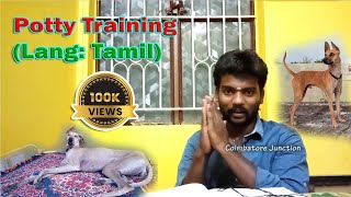 உங்கள் நாயை வெளியே போக பழக்குவது எப்படி  Potty Training in Tamil [upl. by Weinstein338]