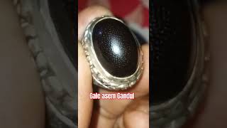 Black mamba dari gale asem Gandul kreatifjaya asli [upl. by Anstice]