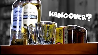 Why Some Alcohol Gives You a Hangover  Congeners  The More You Know [upl. by Melvena986]