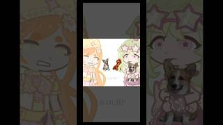 Cavapoo or corgi ib Musashiace Tags dogs gachalife2 trend phonk [upl. by Stoneman593]