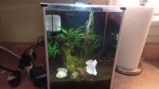 Cleaning my Betta Tank  Fluval Spec III 26 US Gallon [upl. by Deland]