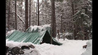 Winter Camping  Tarp Shelter  1st winter Overnight in a Tarp [upl. by Popper217]